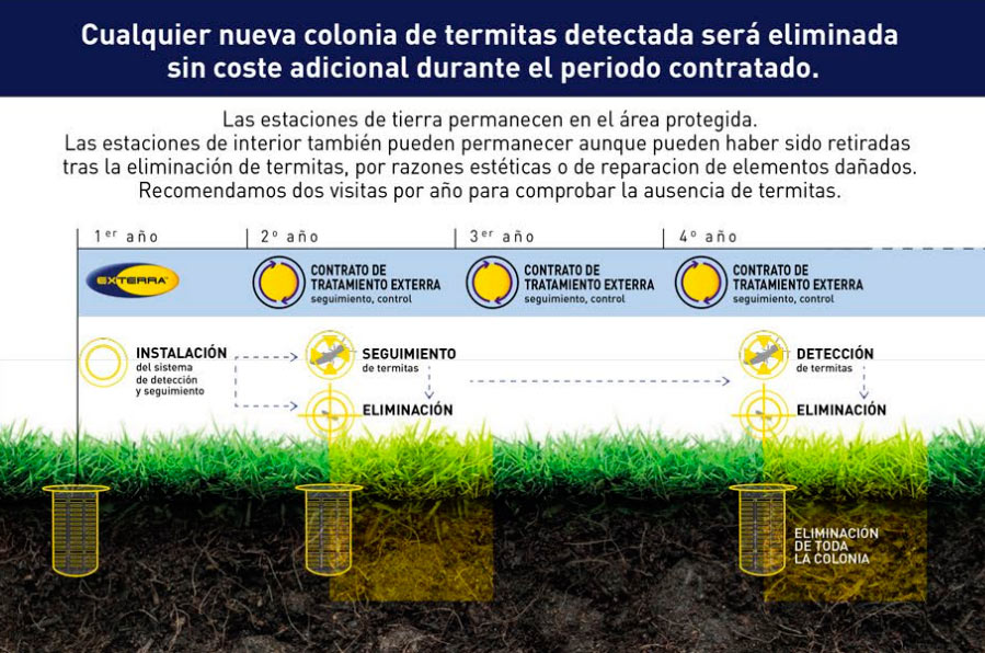 control plagas de termitas