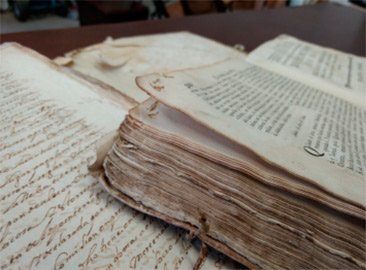 tratamiento de la carcoma en libros