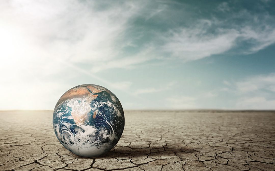 Insectos e Cambio Climático