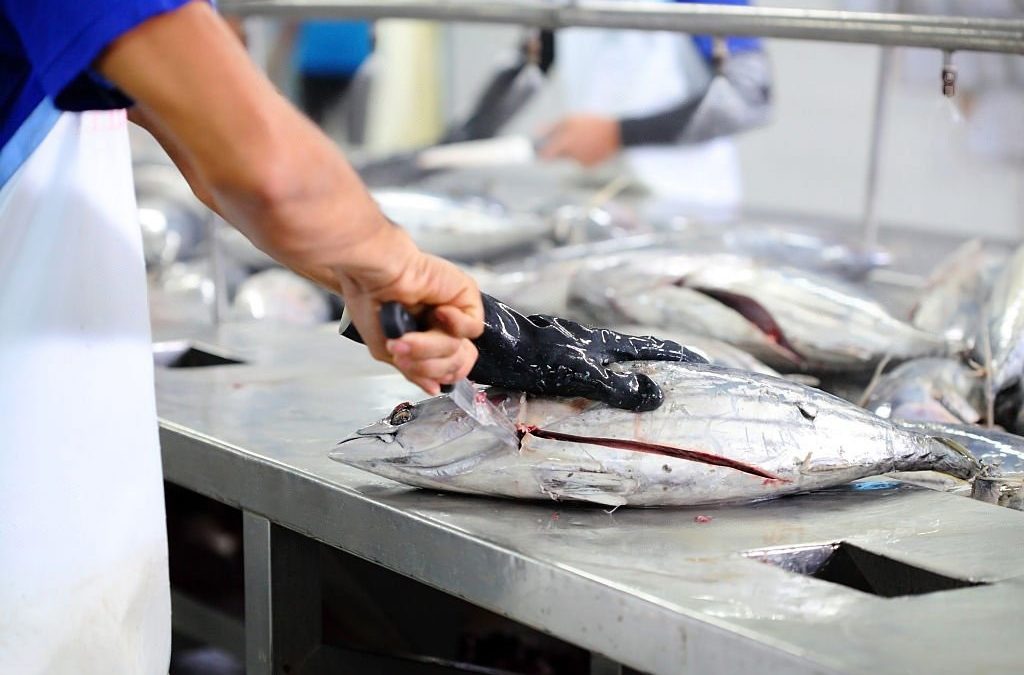 Control de pragas na industria alimentaria