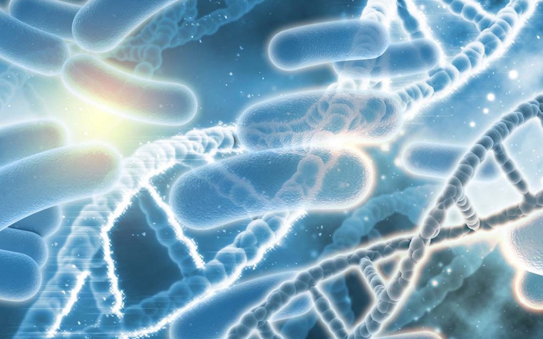 Cómo evitar a amenaza da legionelose