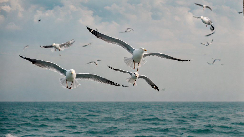 Control de aves en Galicia